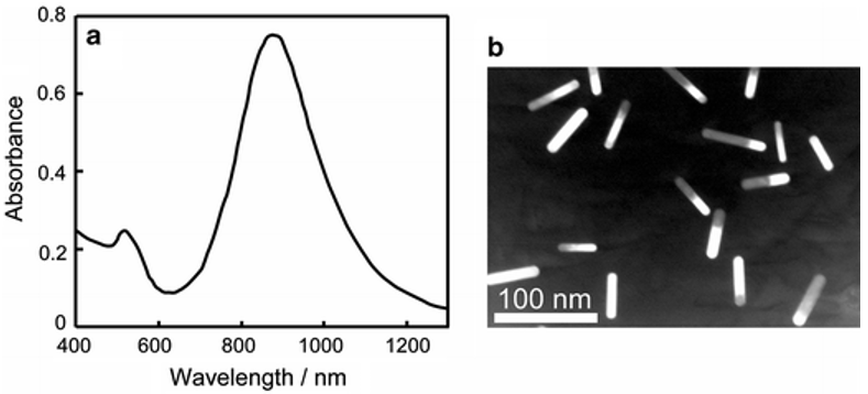 Basic Gold Nanorods - Cd Bioparticles