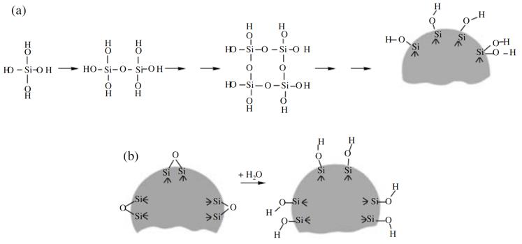 Basic Silica Particles - CD Bioparticles