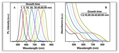 CdTe/CdS Quantum Dots - CD Bioparticles