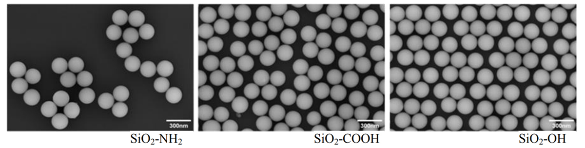 Functional Silica Particles - CD Bioparticles