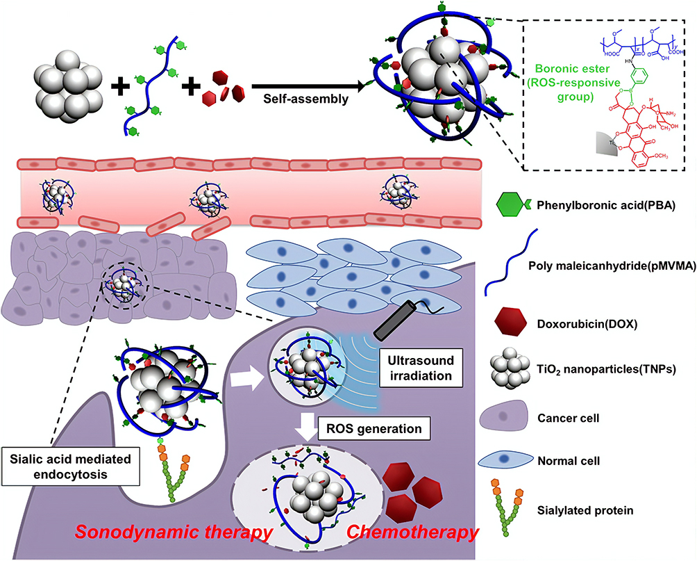 Highly-Monodisperse Spherical Titania Nanoparticles - CD Bioparticles