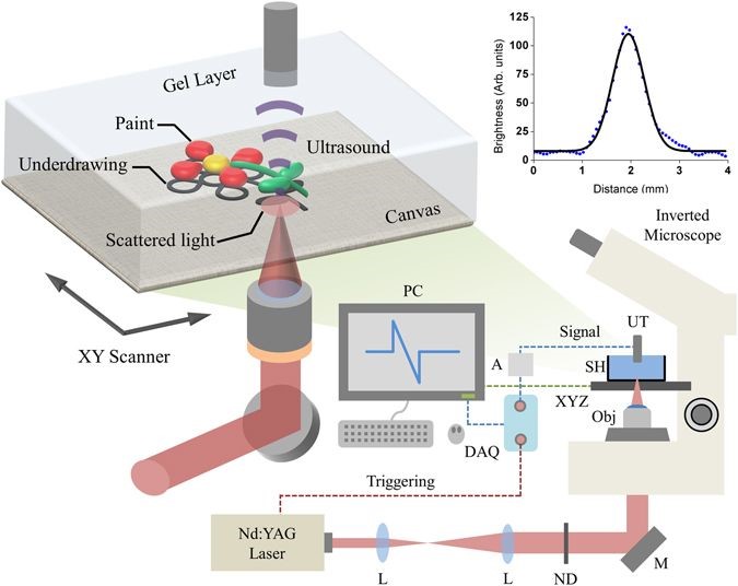 Photoacoustic (Optoacoustic) Imaging - CD Bioparticles