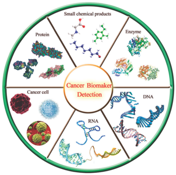 Properties And Applications Of Gold Nanoparticles - CD Bioparticles