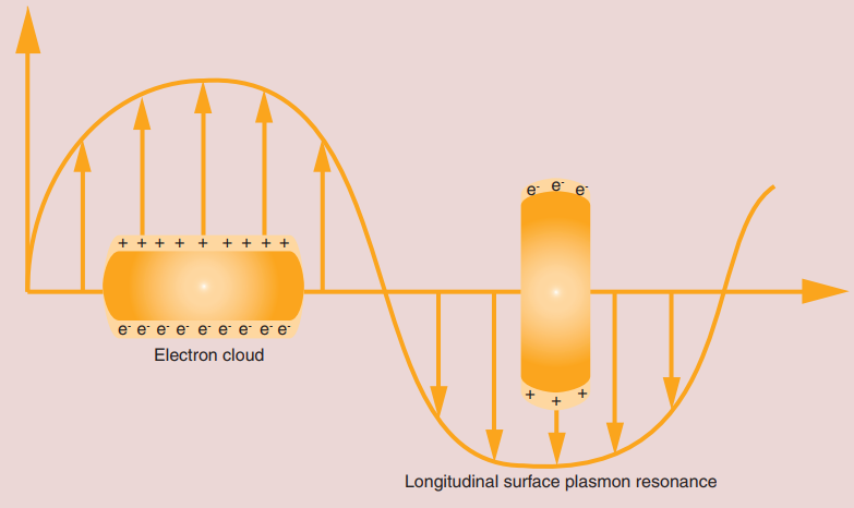 Properties And Applications Of Gold Nanorods - CD Bioparticles