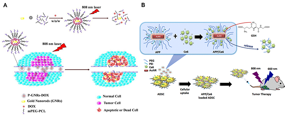 Gold Nanoparticles in Photothermal Therapy - CD Bioparticles