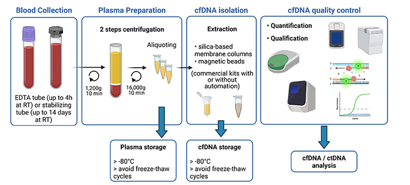 Magnetic Particles for Cell-Free DNA Extraction - CD Bioparticles