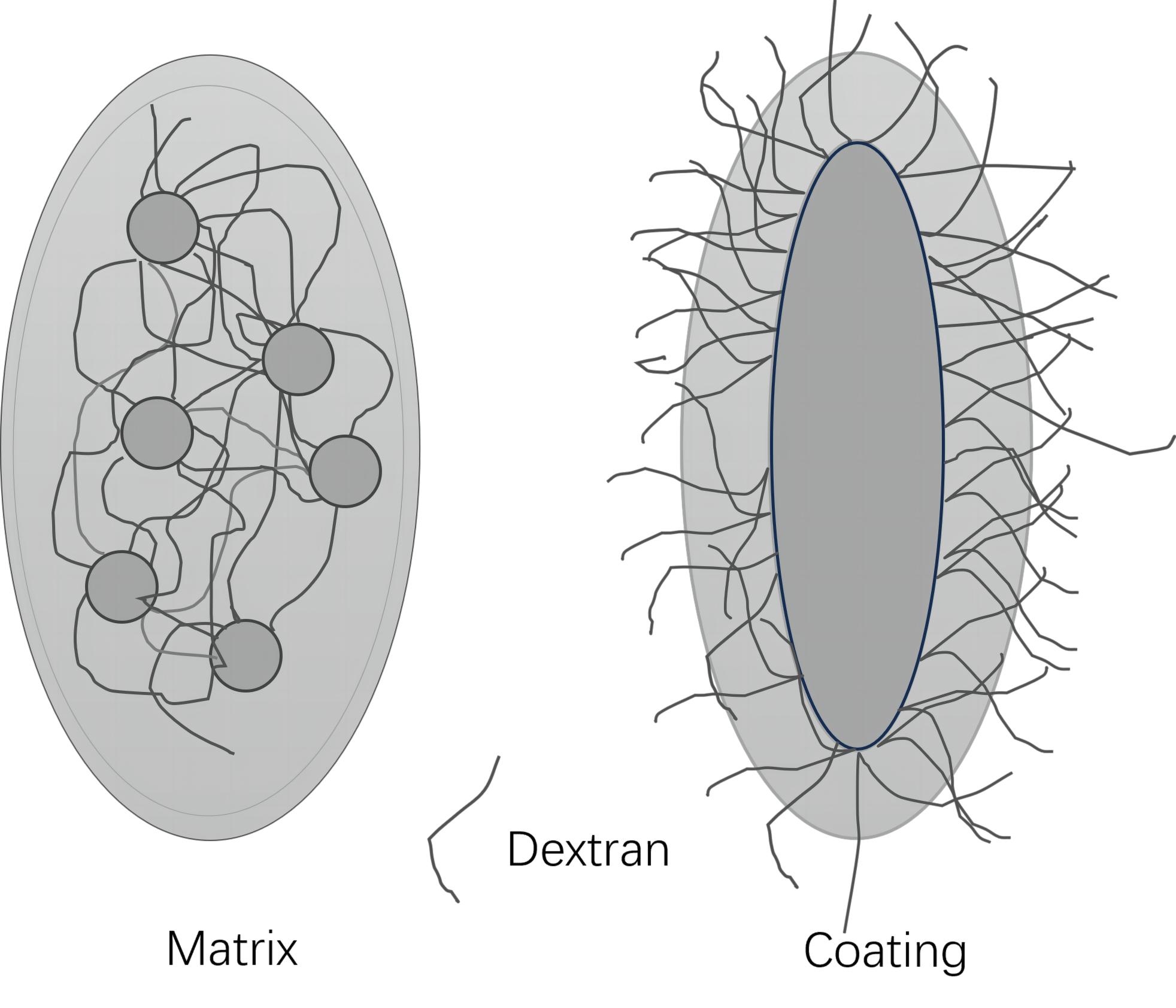 Probes For Magnetic Hyperthermia Therapy - CD Bioparticles