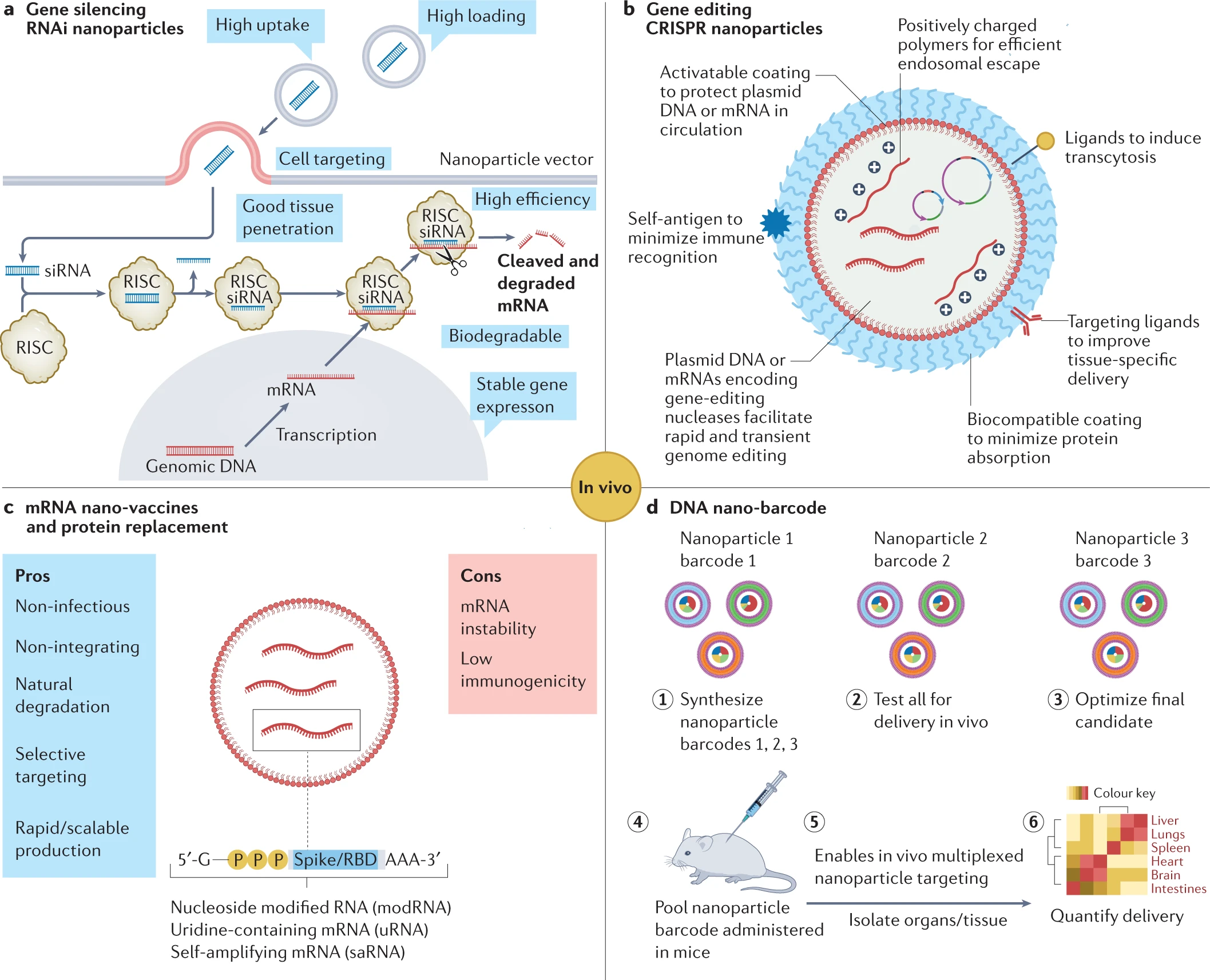 Tailored Nucleic Acid Delivery Particle Synthesis Cd Bioparticles