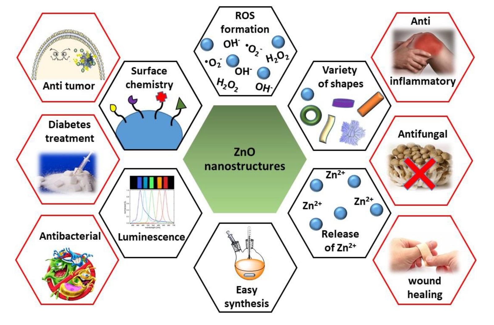 zno nanoparticles phd thesis